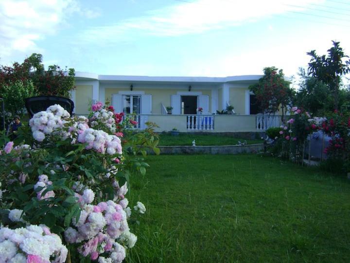 Zante Summer Retreats - Marietta'S Apartment2 Drosia Kypseli Exterior photo
